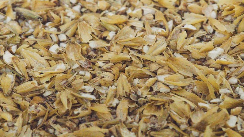 Malt Crushing In Beer Brewing